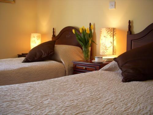 Dun Ri Guesthouse Клифден Номер фото