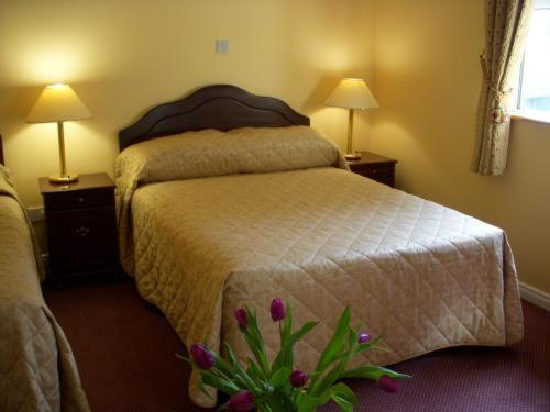 Dun Ri Guesthouse Клифден Номер фото